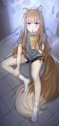 holo from spice and wolf by studiohaoto