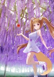 holo from spice and wolf