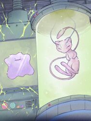 ditto from pokemon