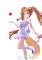 holo from spice and wolf