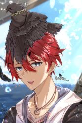 adol christin from ys