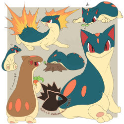 quilava from pokemon