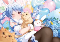 don-chan (usada pekora) from hololive