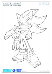shadow the hedgehog from sega by uekawa yuji