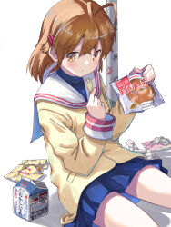 furukawa nagisa from clannad by akayama yukihe
