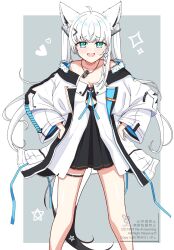 shirakami fubuki from hololive