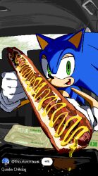 sonic the hedgehog from sonic (series)