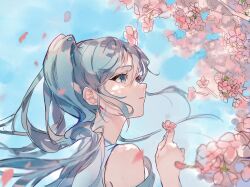hatsune miku from vocaloid