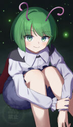 wriggle nightbug from touhou