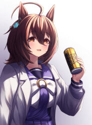agnes tachyon (umamusume) from umamusume