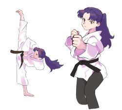 katsuragi misato from neon genesis evangelion by gan2