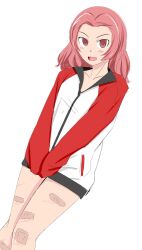 rosehip (girls und panzer) from girls und panzer by tanaka rikimaru