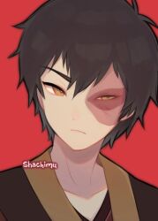 zuko from avatar: the last airbender