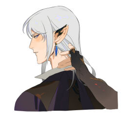 elezen from final fantasy