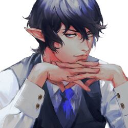 elezen from final fantasy