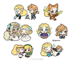 link from the legend of zelda