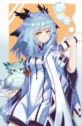 ptilopsis (arknights) from arknights