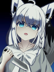 shirakami fubuki from hololive