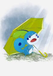 sobble from pokemon