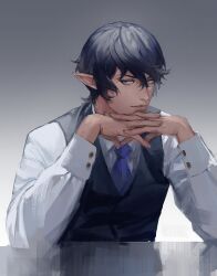 elezen from final fantasy