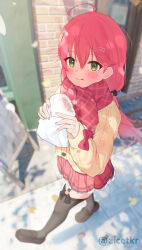 sakura miko from hololive