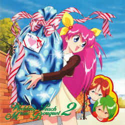 hanasaki momoko from ai tenshi densetsu wedding peach