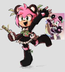 amy rose from sonic (series)