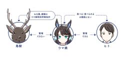daring tact (umamusume) from umamusume