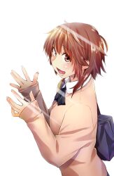 sakurai rihoko from amagami