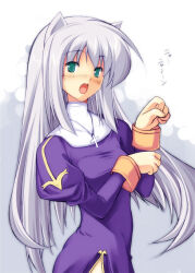 priest (ragnarok online) from ragnarok online by kinoshita ichi