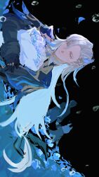 melusine (genshin impact) from genshin impact