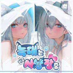 shiroko (blue archive) from blue archive