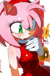 amy rose from sonic (series)