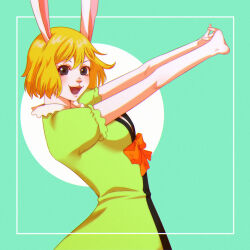 carrot (one piece) from one piece by tsukizawr