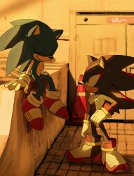 shadow the hedgehog from sonic (series) by unneul