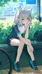 shiroko (blue archive) from blue archive