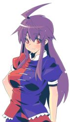morswa from touhou by mori shin risuku