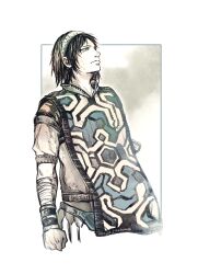 shadow of the colossus fan art
