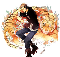 trafalgar law from one piece
