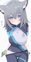 shiroko (blue archive) from blue archive