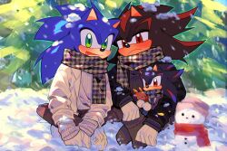 shadow the hedgehog from sonic (series)