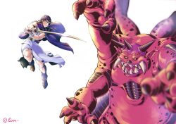 hero (dq5) from dragon quest