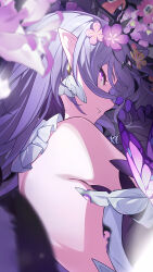 castorice (honkai: star rail) from honkai: star rail