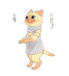 felyne from monster hunter (series)