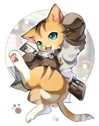 felyne from arknights