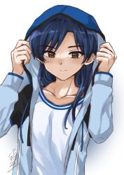 kisaragi chihaya from idolmaster