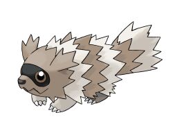 zigzagoon from pokemon by sugimori ken