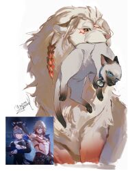 cipher (honkai: star rail) from honkai: star rail