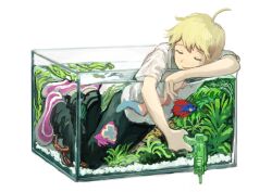 haru (tsuritama) from tsuritama by minahamu