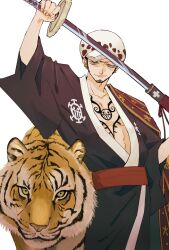 trafalgar law from one piece